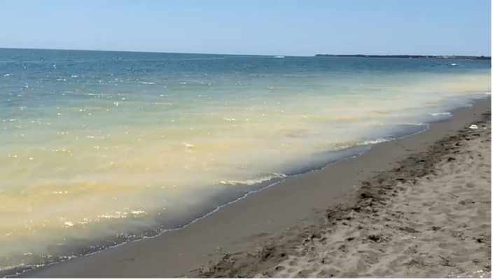 Fenomeni i rrallë në plazhin e Velipojës, uji bëhet i verdhë (Pamjet)