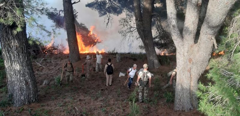 Zjarri në Sazan/ Niko Peleshi: Ka rinisur puna për shuarjen, janë bashkuar edhe vullnetarë