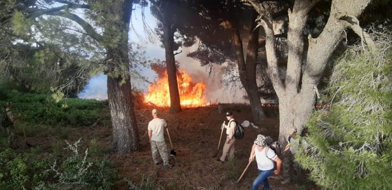 Zjarri në ishullin e Sazanit/ Ministria e Mbrotjes: Po vlerësohet nevoja për ndërhyrje të mëtejshme