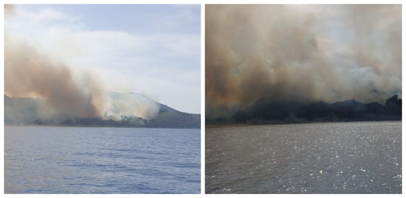 Zjarr në Ishullin e Sazanit/ Digjen pisha e shkurre në ‘Plazhin e Gjeneralit’