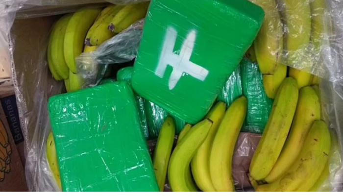 E pazakontë/ Bananet “ngatërrojnë” adresë/ 840 kg “e bardhë” përfundon në supermarketet çeke