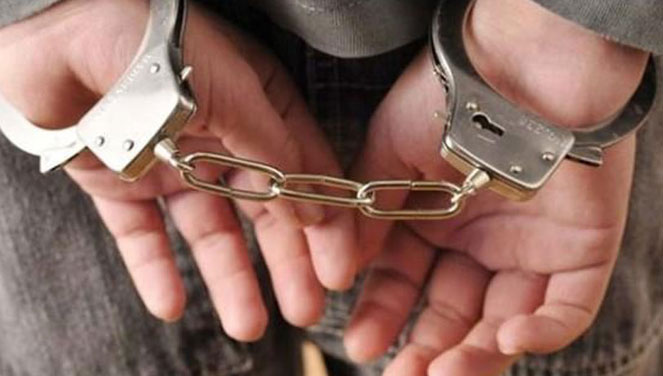 Arrestohet Drejtori i Zonave të Mbrojtura dhe 3 inspektorë në Lezhë