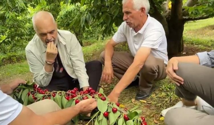 Rama ulet këmbëkryq e ha qershi me fermerët në Dibër - Vizion Plus