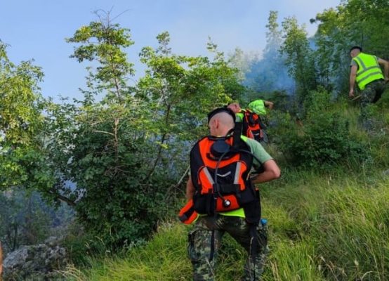Ministri Peleshi: Shuhen pesë vatrat e zjarrit, strukturat janë në gatishmëri