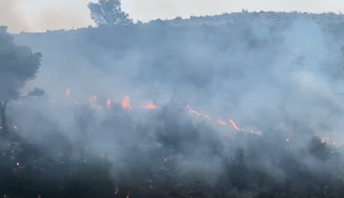 Pamje të frikshme në dalje të Lezhës/ Flakët ‘përpijnë’ kodrën me pisha e shkurre përgjatë aksit kombëtar