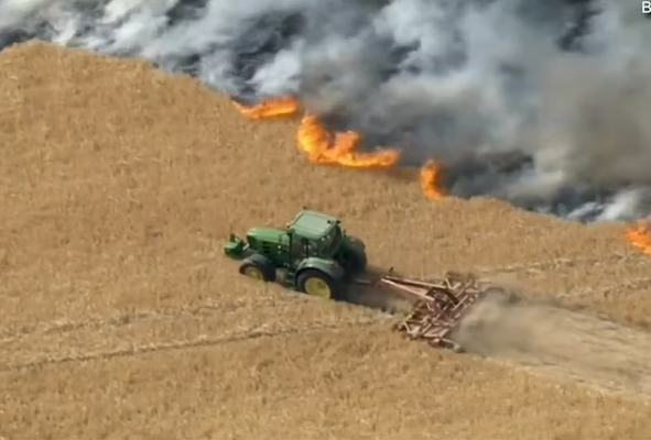 ‘Gjest heroik’/ Fermeri mer traktorin dhe shpëton banesat e fermën nga zjarri i madh