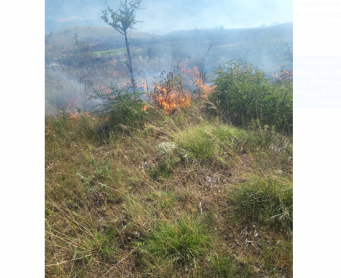 Zjarr i madh në Memaliaj/ Digjen disa hektarë tokë bujqësore