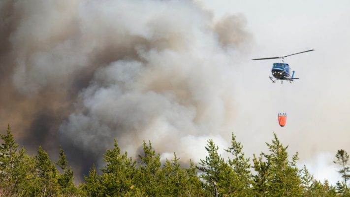 Digjen Portugalia dhe Spanja/ Zjarret masive shkrumbojnë pyjet, kërcënojnë zonat e banuara