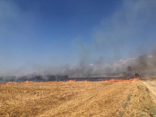 Digjen mbi 120 hektarë tokë në Lushnjë, zjarrësikësit nga tre bashki në “luftë” me flakët