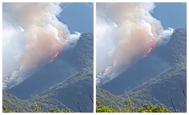 Zjarr në Berat/ Digjet pylli në fshatin Velçan, zjarrfikësit nisen drejt zonës