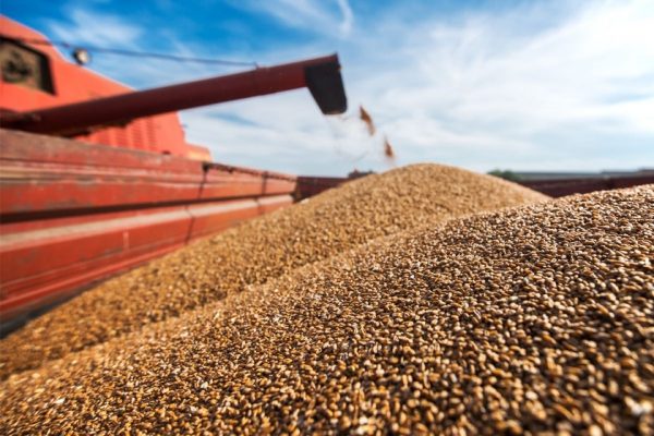 Rusi-Ukrainë takim për grurin; një hap larg zhbllokimit të eksporteve
