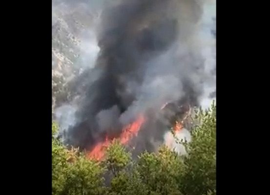 Zjarri djeg pyjet në Mirditë/ E pamundur ndërhyrja nga toka në zonën e Oroshit