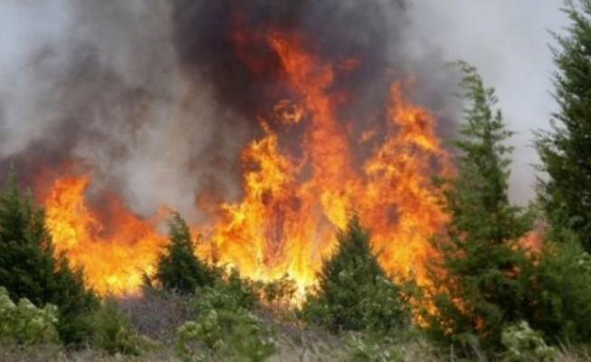 Zjarr i madh në Lezhë/ Digjen traversat e hekurudhës, rrezikohen banesat e fshatit