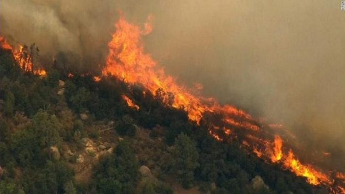 9 vatra zjarri ende aktive/ Flakët djegin sipërfaqe të mëdha pyjesh