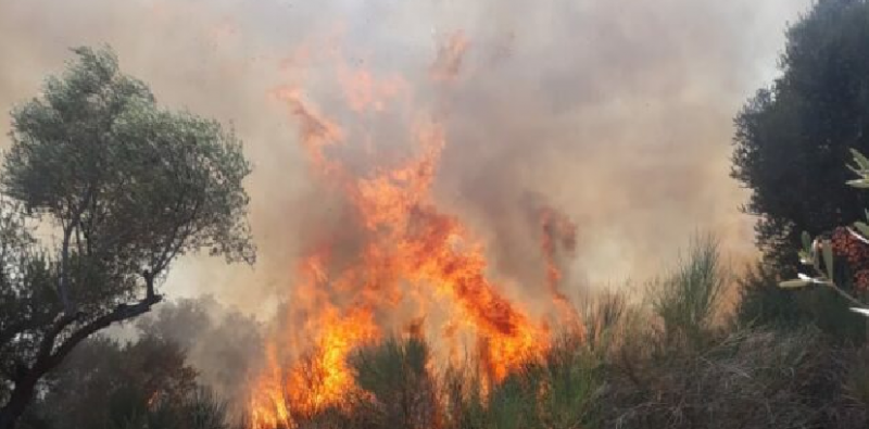 Riaktivizohet zjarri në Kepin e Rodonit/ Ndërhyrje nga toka dhe ajri