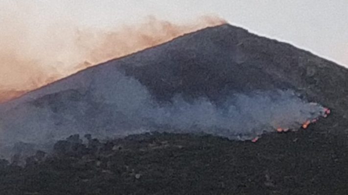 Vijon zjarri në kodrat e Palasës, terreni malor vështirëson shuarjen e flakëve