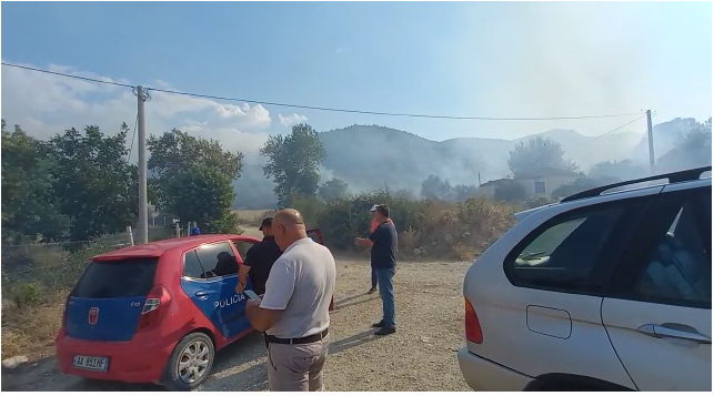 Zjarri në fshatrat e Divjakës/ Shoqërohen në polici 5 persona