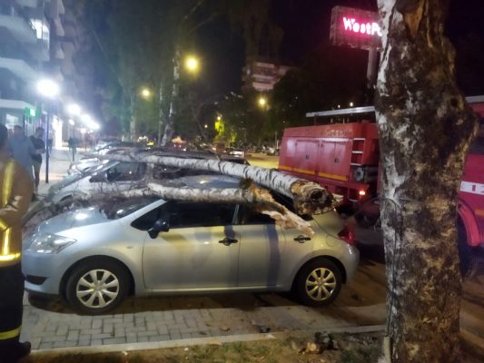 Rrëzohet pema në Korçë, dëmtohen dy makina