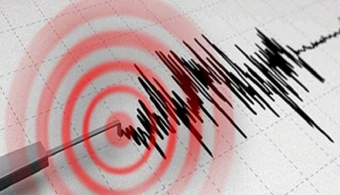 Tërmet i fuqishëm në juglindje të vendit/ Ja magnituda dhe epiqendra