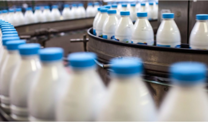 Nga 1 gushti çmimet e qumështit dhe kosit u rritën me 11%, krizë për djathë në treg