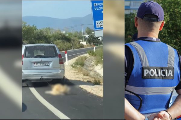 Tërhoqi qenin zvarrë pas makine/ Reagon policia për ngjarjen në Vlorë, ja kush është autori