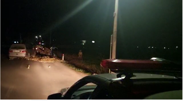Aksident në Lezhë-Shkodër/ Përplasen dy automjete, plagosen drejtuesit