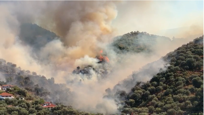 Zjarre edhe në Vlorë/ Digjen kodrat me ullinj, në Kaninë rrezikohen banesat