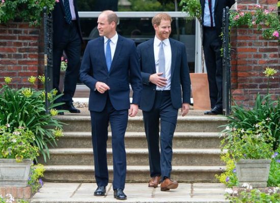 Kush është personi që po përpiqet të afrojë William me Harry-n?