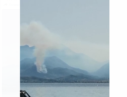 Vatër zjarri në Vlorë/ Flakët favorizohen nga era, ende asnjë zjarrëfikës