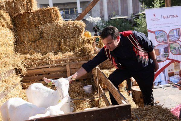 Shijo produktet lokale të Tiranës; fermerët ekspozojnë prodhimet në Sheshin “Skënderbej”