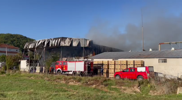 Digjet magazina e grumbullimit të mollëve në Pogradec