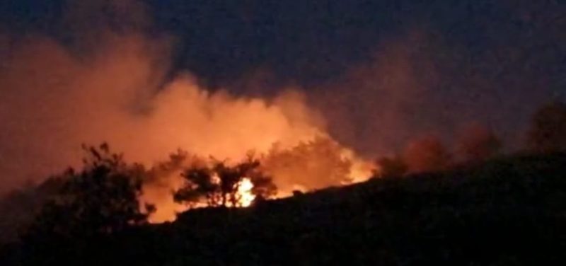 Zjarret e qëllimshme djegin pyjet/ Korçë, flakët shkaktojnë dëme të mëdha në sipërfaqet me pisha