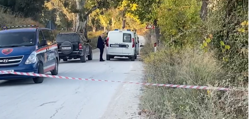 Aksident në aksin Vlorë-Fier/ 24 vjeçari përplas me makinë turistët francezë, vdes njëri prej tyre