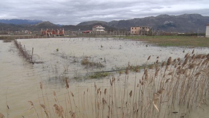 Përmirësimi i motit/ Ulen lehtë sipërfaqet e përmbytura në Shkodër