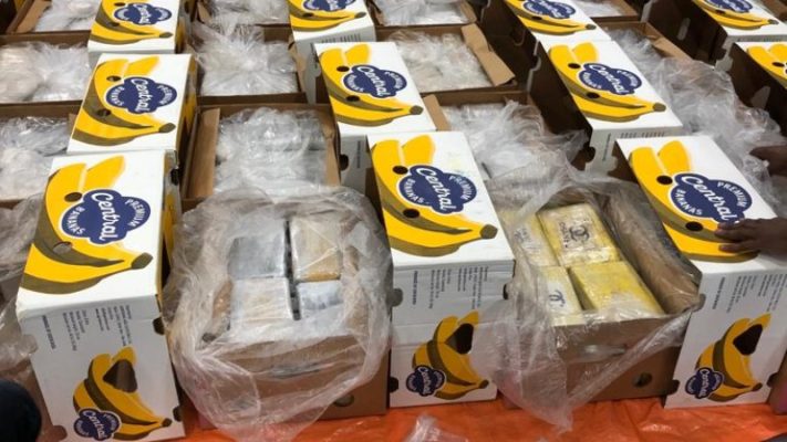 Sekuestrohen 1,3 tonë kokainë e fshehur mes bananeve në Hollandë, vinte nga Ekuadori