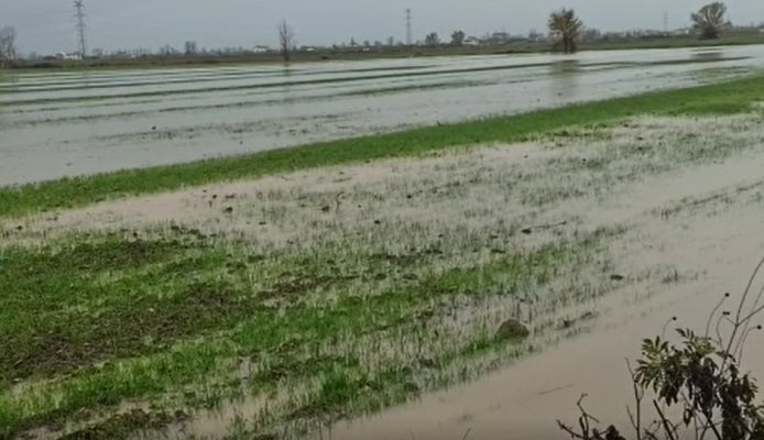 Uji mban të “pushtuara” tokat/ Banorët: Kemi humbur bazën ushqimore të bagëtive nga përmbytjet