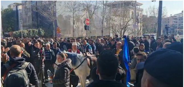 Video/ Protestuesi tenton të fusë kalin në parlament