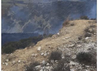 Zjarr në kodrat e Dukatit në Vlorë/ Zjarrvënie e qëllimshme nga barinjtë