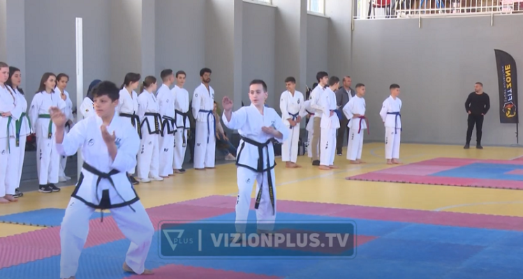 Të pasionuar pas Taekwondo-s, sportistë nga disa vende bëhen bashkë në Tiranë
