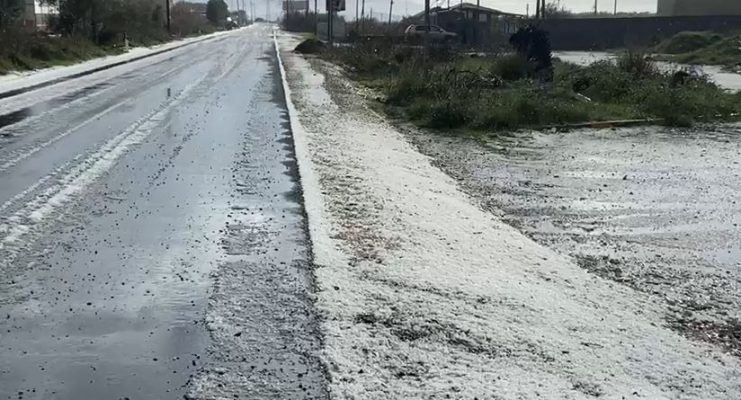 Breshër dhe erë e fortë në Vlorë/ Rrëzohet pisha 100-vjeçare, policia apel shoferëve