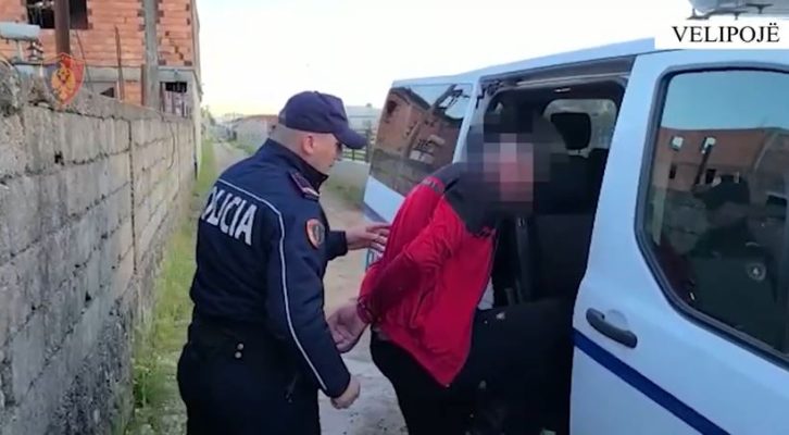 Asgjësimi i 2150 fidanëve kanabis në Shkodër, policia arreston 37-vjeçarin e shpallur në kërkim