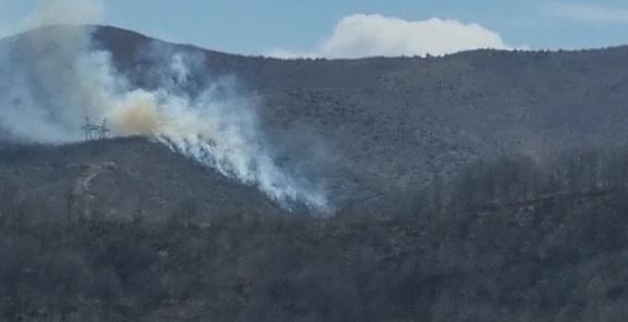 Zjarr masiv në pyjet e Pogradecit, shkrumbohen mbi 2 ha tokë