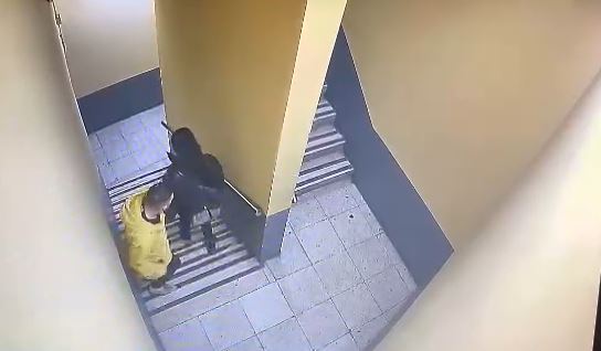 Video/ Ngacmoi seksualisht të miturën në ashensor, arrestohet 25-vjeçari në Tiranë