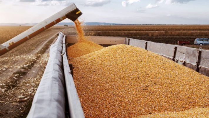 Rusia paralajmëron sërish Perëndimin për marrëveshjen e drithërave