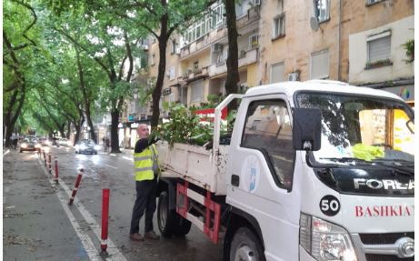 Pas shirave të rrëmbyeshëm, normalizohet situata në Tiranë