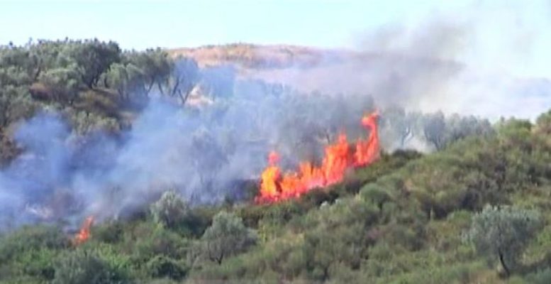 Zjarr bazës së Pashalimanit në Vlorë/ Digjet automjeti, ndalohet përhapja e flakëve