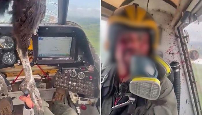 VIDEO- Incident në ajër/ Zogu përplaset me avionin, piloti gjithë gjak vijon fluturimin