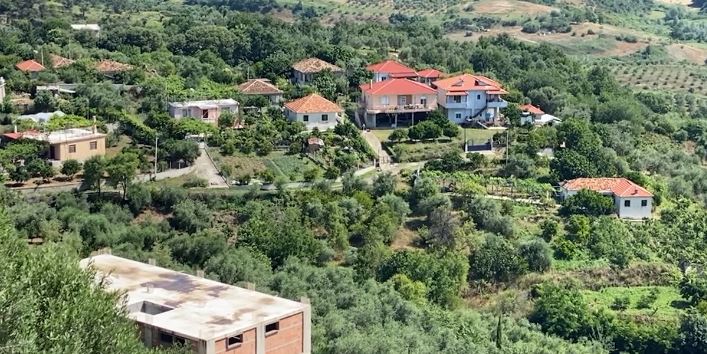 Fermerët ankohen për dhelprat/ Kafsha grabitqare është kthyer në problem në fshatin Peshtan në Fier