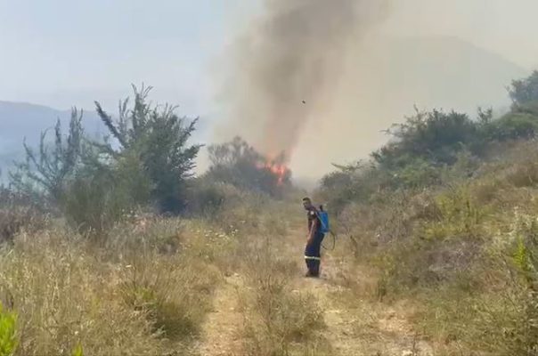 Digjen ullinjtë në Mallakastër/ Zjarri në fshatin Hekal shuhet pas disa orëve