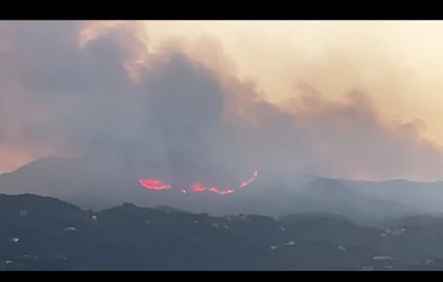 VIDEO- Zjarri përfshin një sipërfaqe pyjore në Korfuz